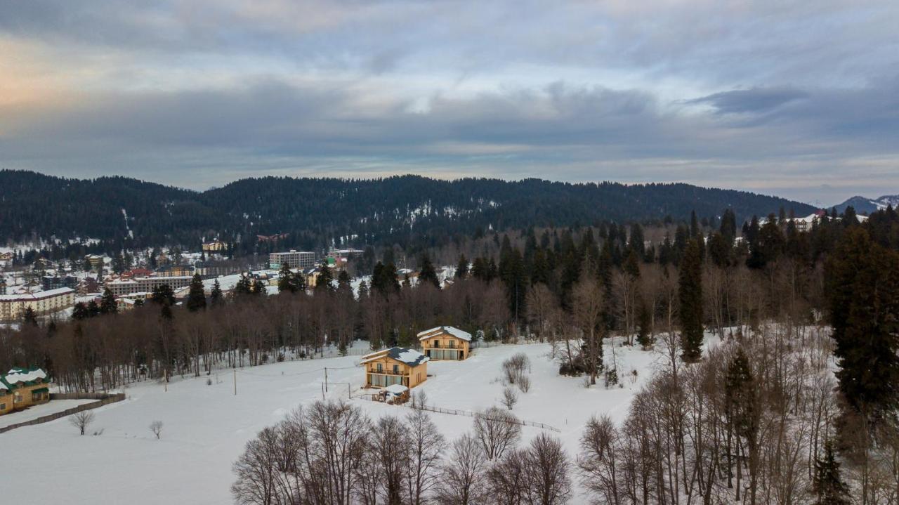 Villa By Sunexpress Бакуриани Екстериор снимка
