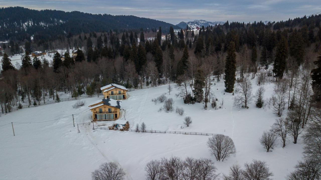 Villa By Sunexpress Бакуриани Екстериор снимка